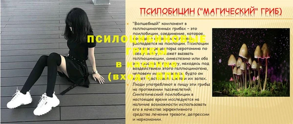 амф Алексеевка
